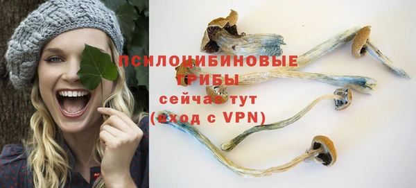 apvp Абдулино