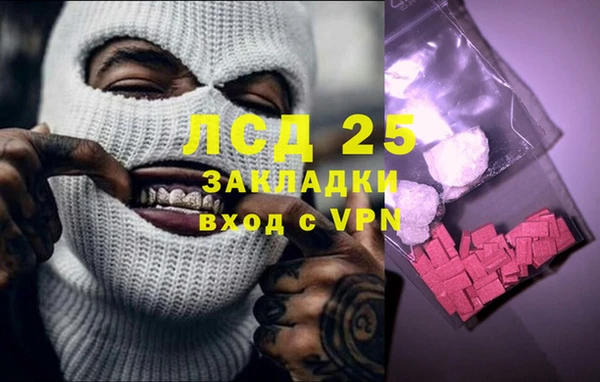 ECSTASY Алзамай