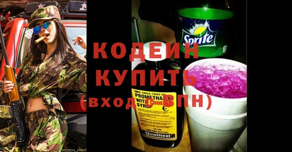 ECSTASY Алзамай