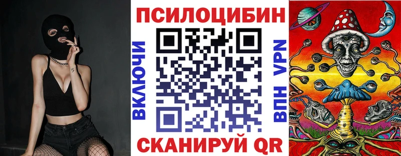 хочу наркоту  Избербаш  Псилоцибиновые грибы MAGIC MUSHROOMS 