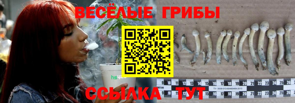 Галлюциногенные грибы прущие грибы Избербаш